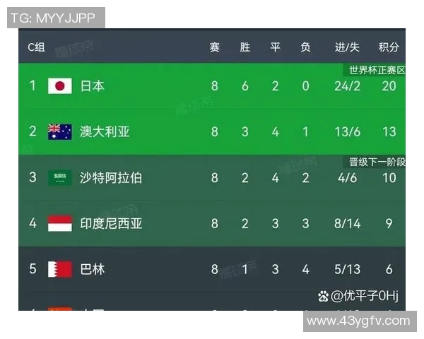 中国队在2001年世界杯预选赛中迎战印尼队的精彩对决与历史意义分析